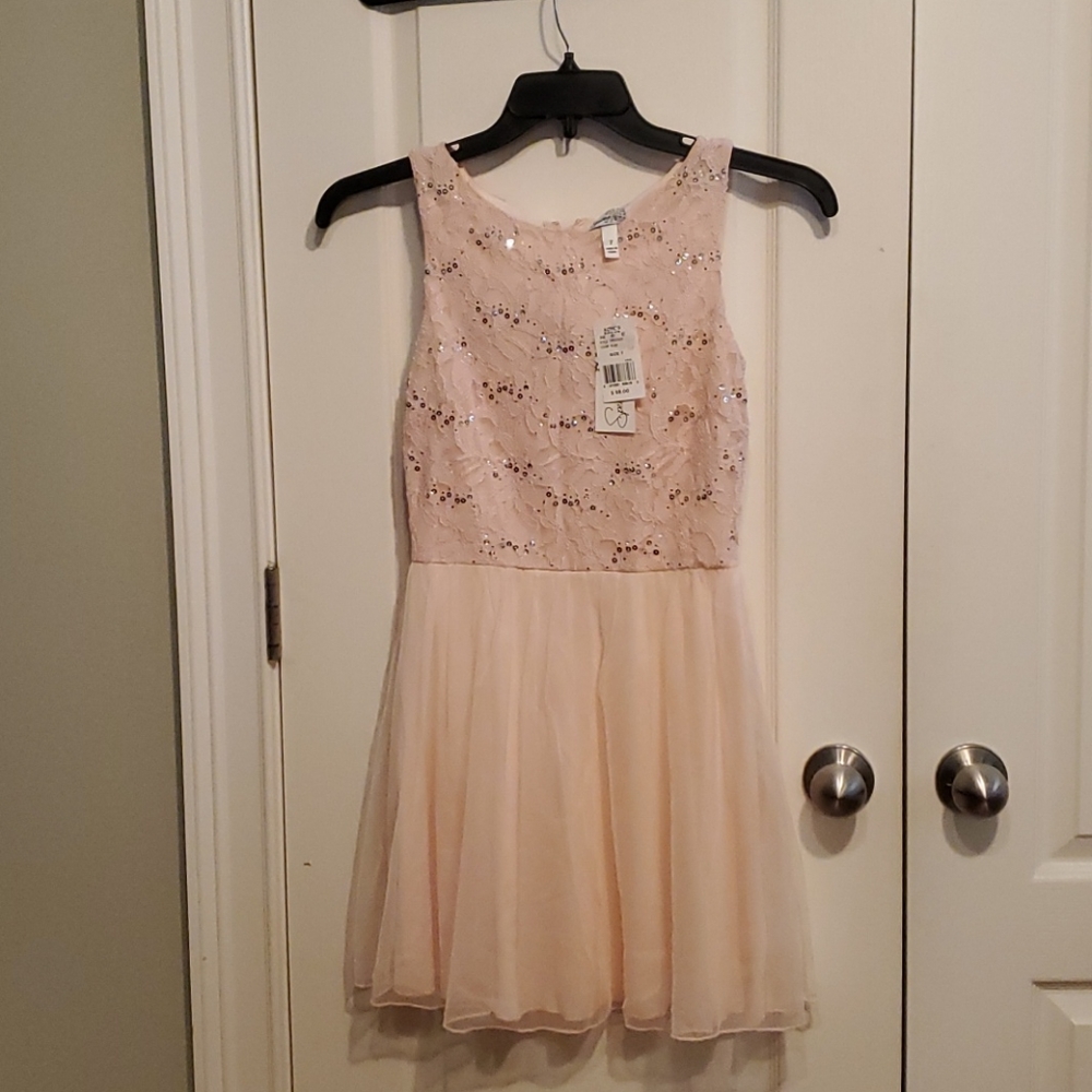 NWT Blush Sequined Chiffon Party Dress